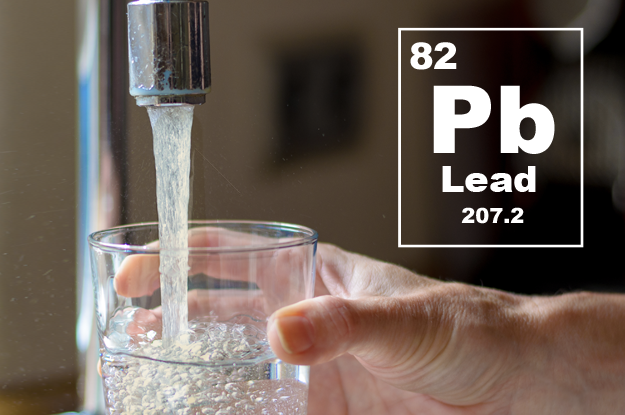 Effects of Lead in Drinking Water