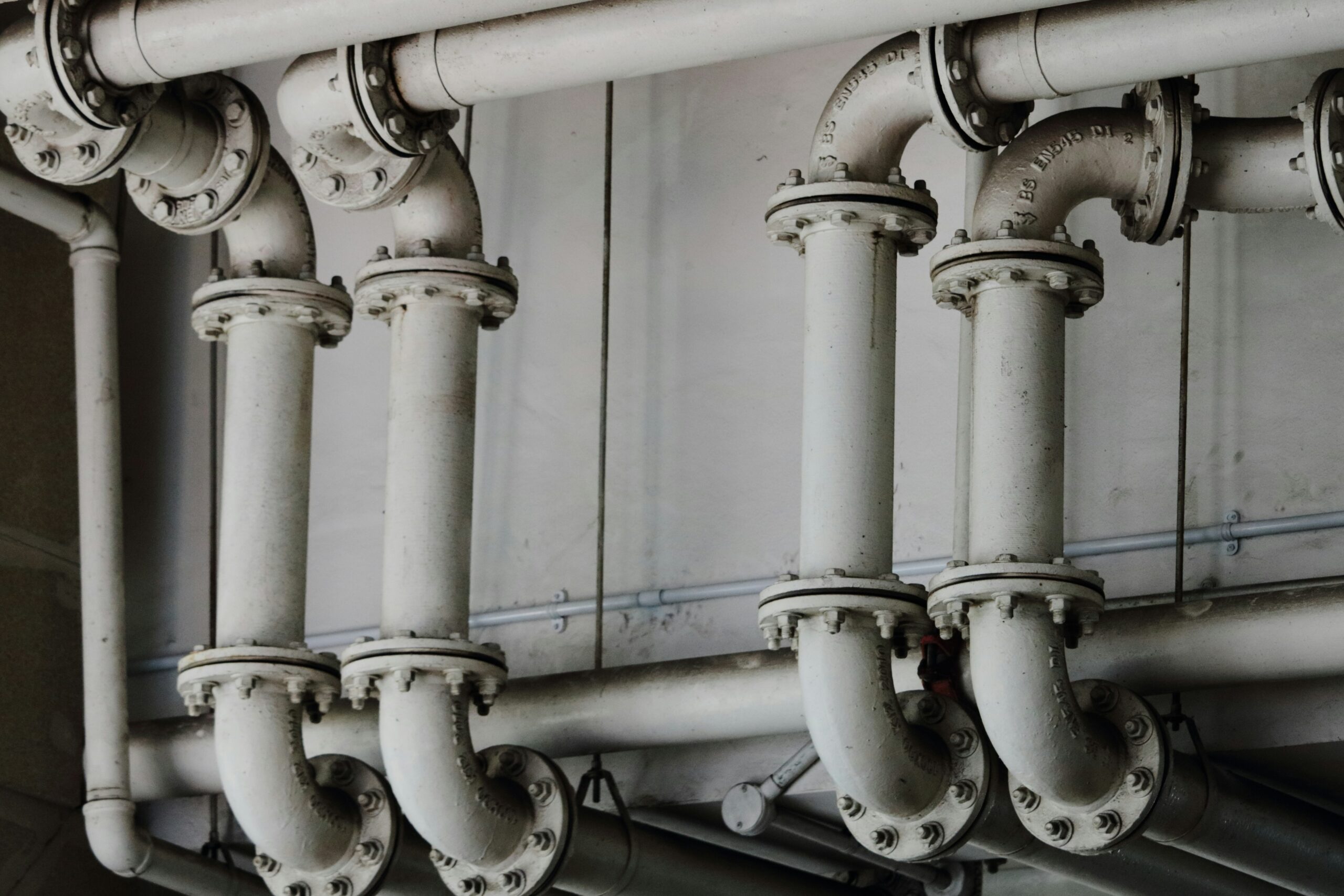 Clear Signs Tree Roots Are Actively Damaging Your Sewer Lines
