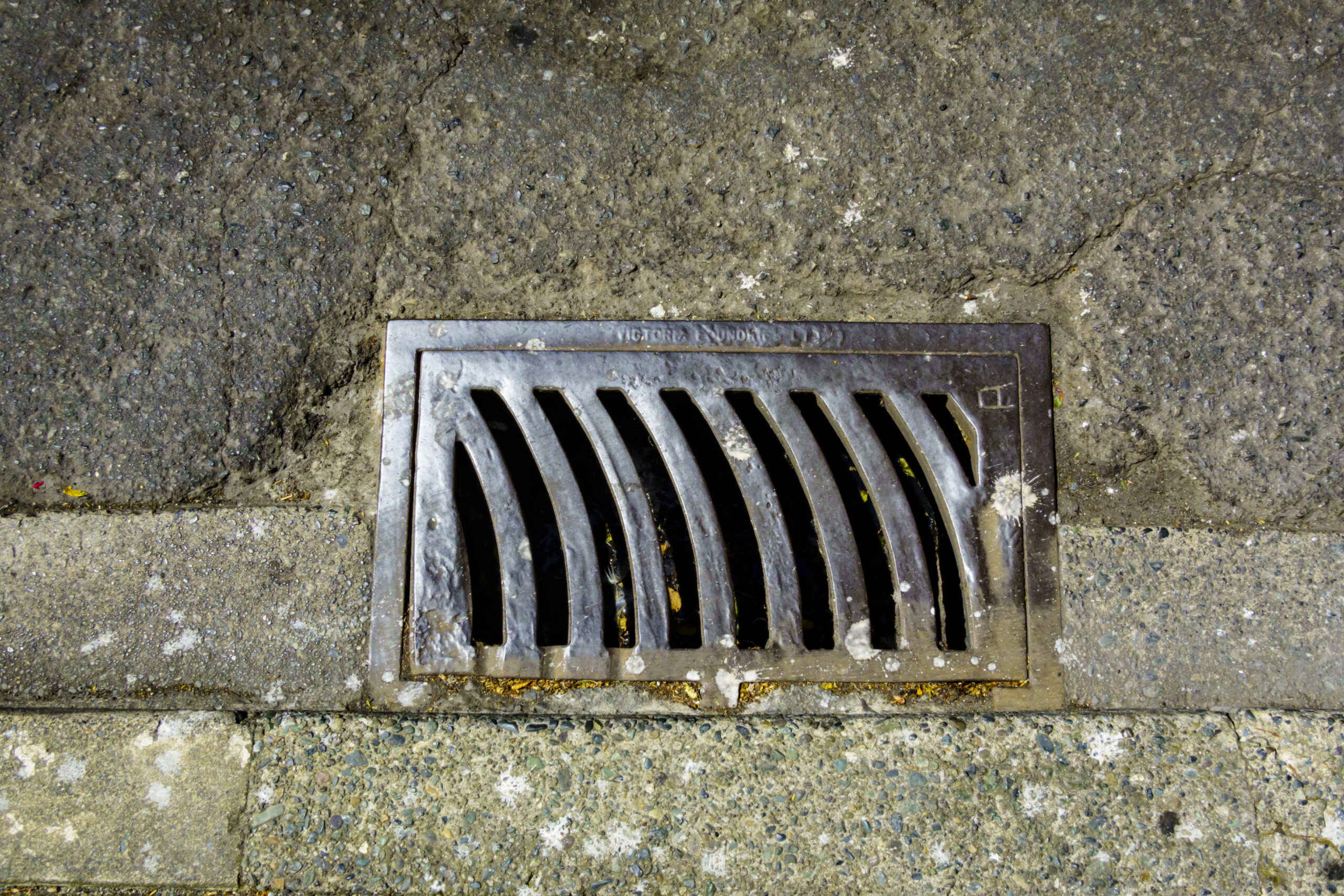Common Sewer Problems and Their Solutions