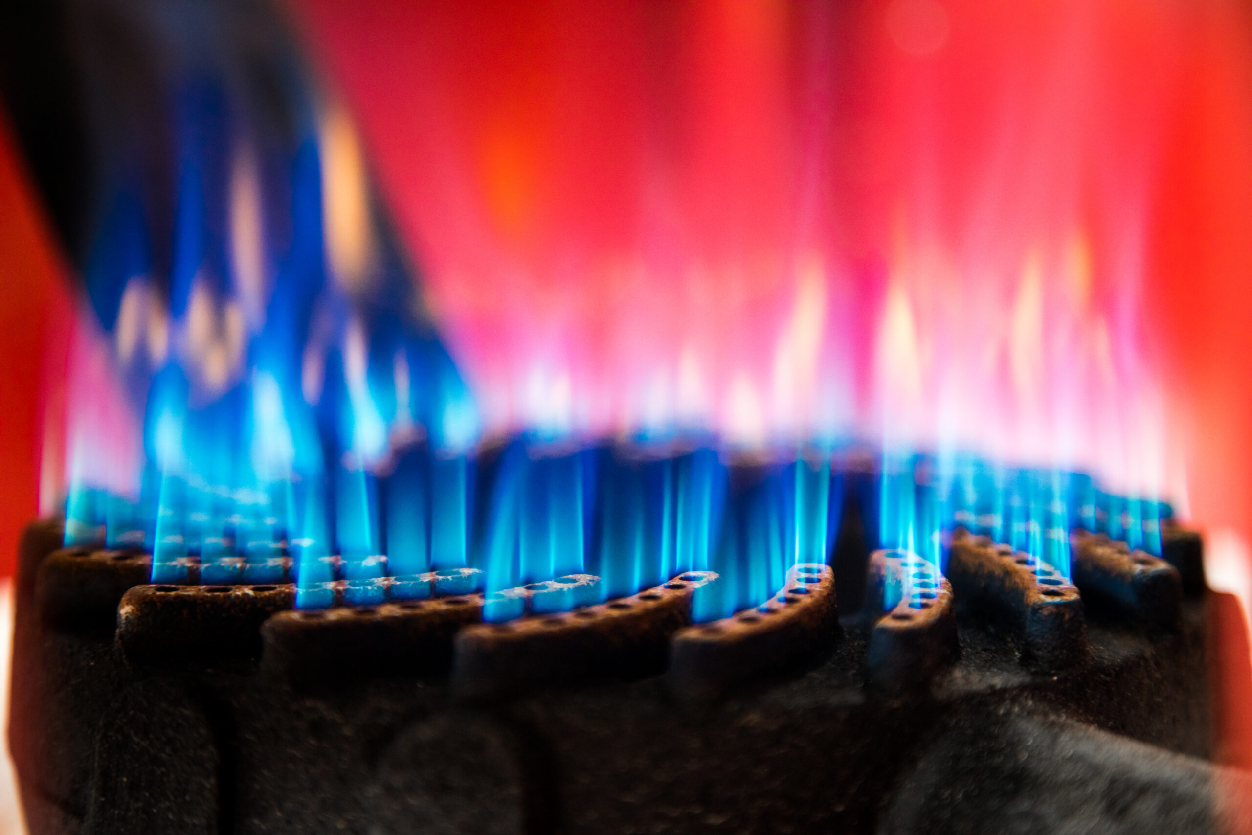 blue flames on a gas burner close up 2026 01 05 00 46 19 utc